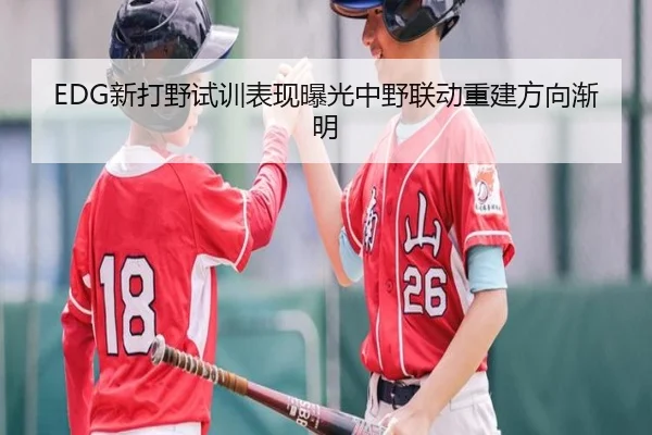 EDG新打野试训表现曝光中野联动重建方向渐明